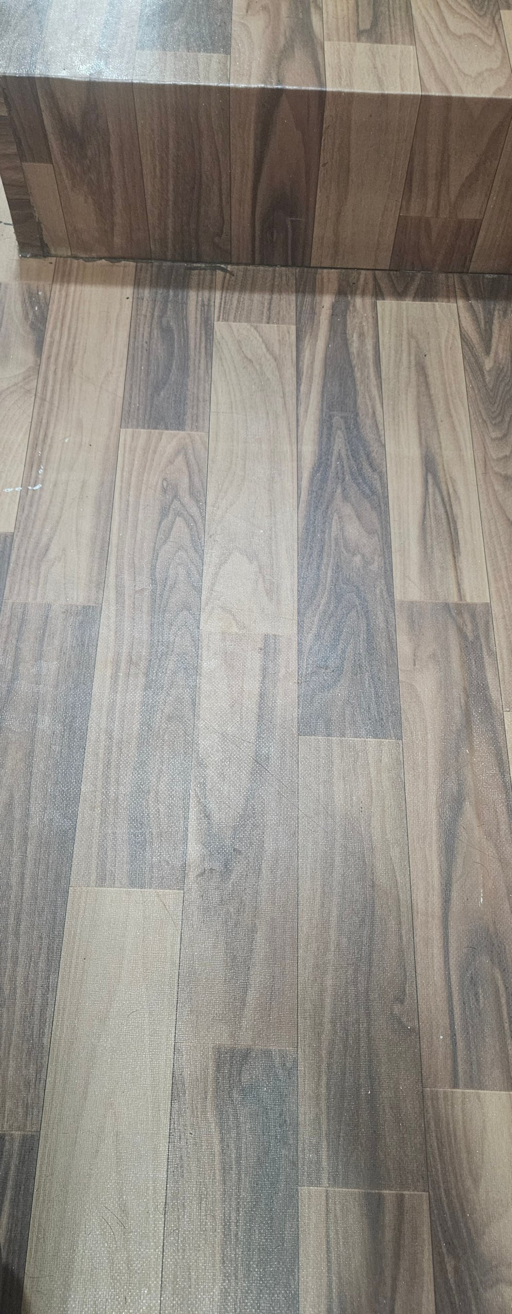 17737329579806681656782994812398