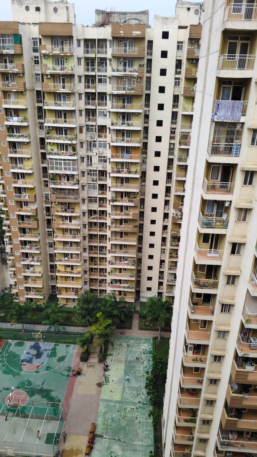 IMG-20260707-WA0020