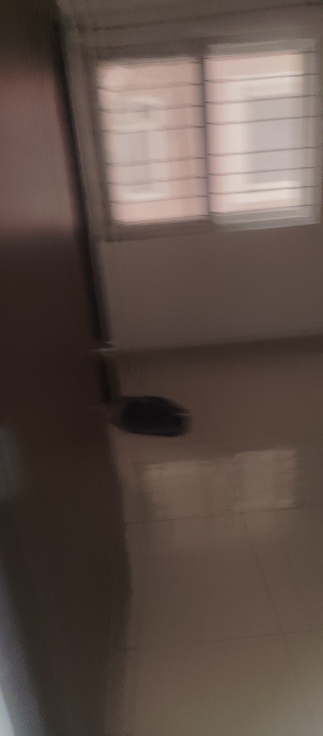 1001313605