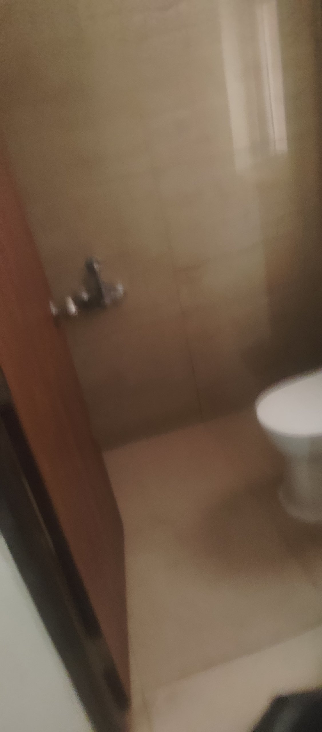 1001313606