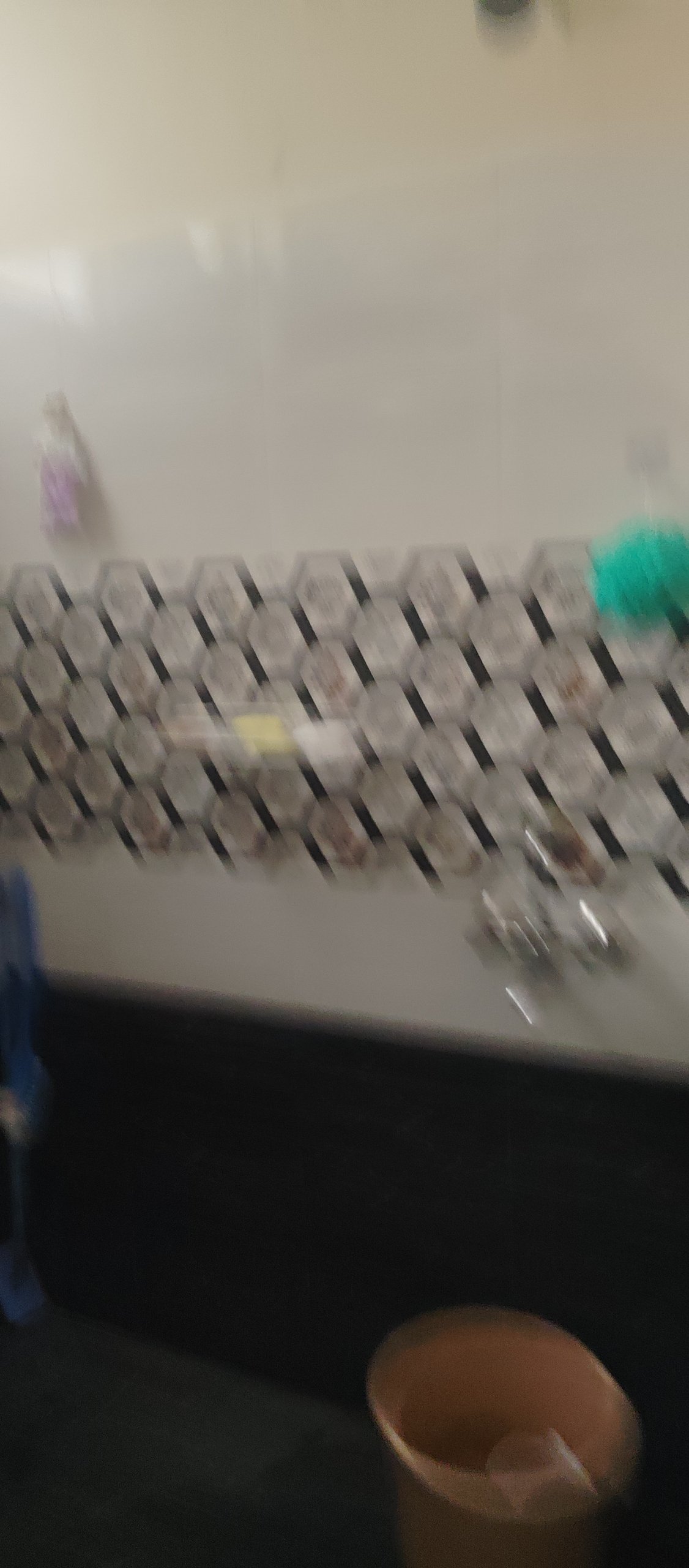 1001397338